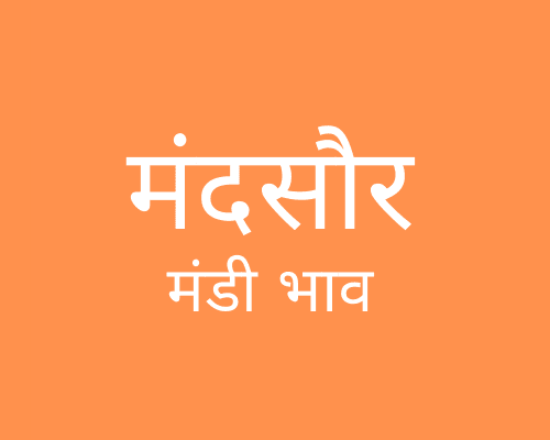 Mandsaur Mandi - मंदसौर मंडी मंडी भाव 12-11-2021