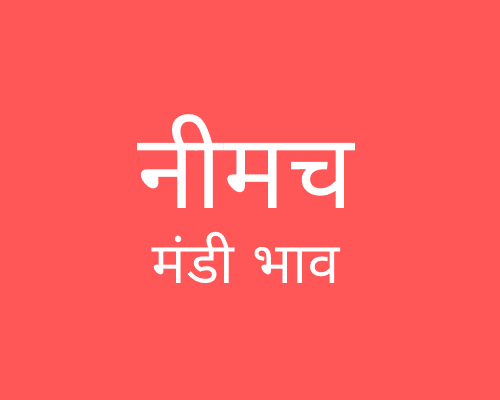 Neemuch Mandi - नीमच मंडी मंडी भाव 17-11-2021