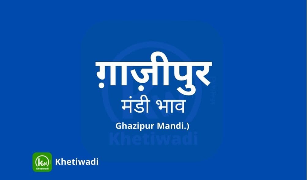 Ghazipur Mandi - ग़ाज़ीपुर मंडी मंडी भाव 19-07-2023