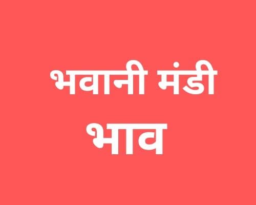 Bhawani Mandi - भवानी मंडी मंडी भाव 18-11-2023