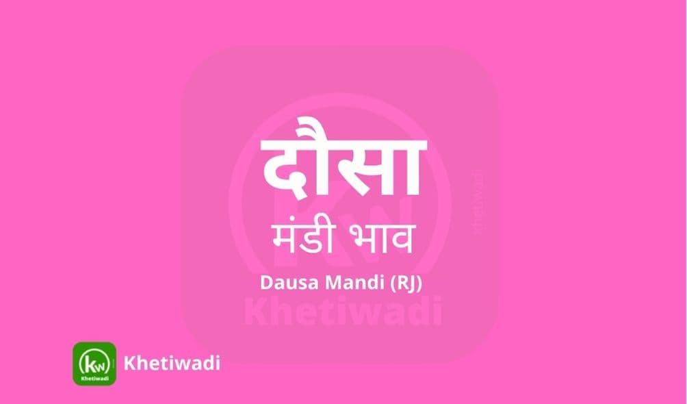 Dausa Mandi - दौसा मंडी मंडी भाव 18-06-2025