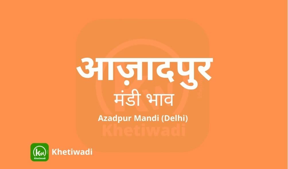 Azadpur Mandi - आज़ादपुर मंडी मंडी भाव 10-09-2022