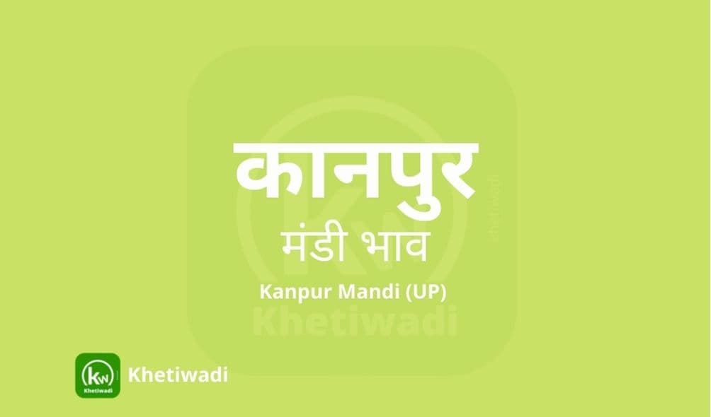 Kanpur Mandi - कानपुर मंडी मंडी भाव 28-05-2021