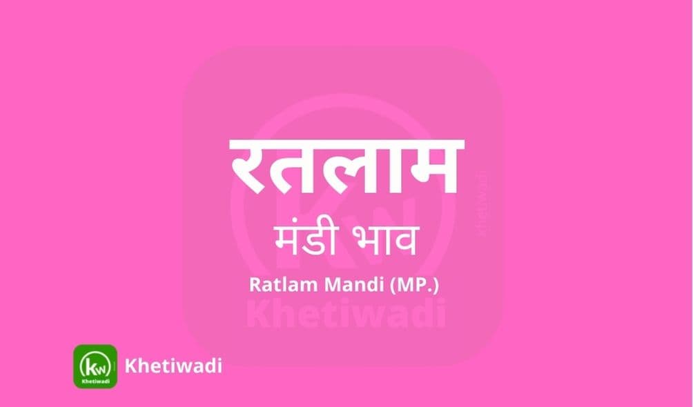 Ratlam Mandi - रतलाम मंडी मंडी भाव 06-04-2021