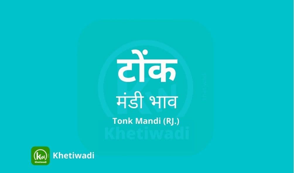 Tonk Mandi - टोंक मंडी मंडी भाव 30-06-2025