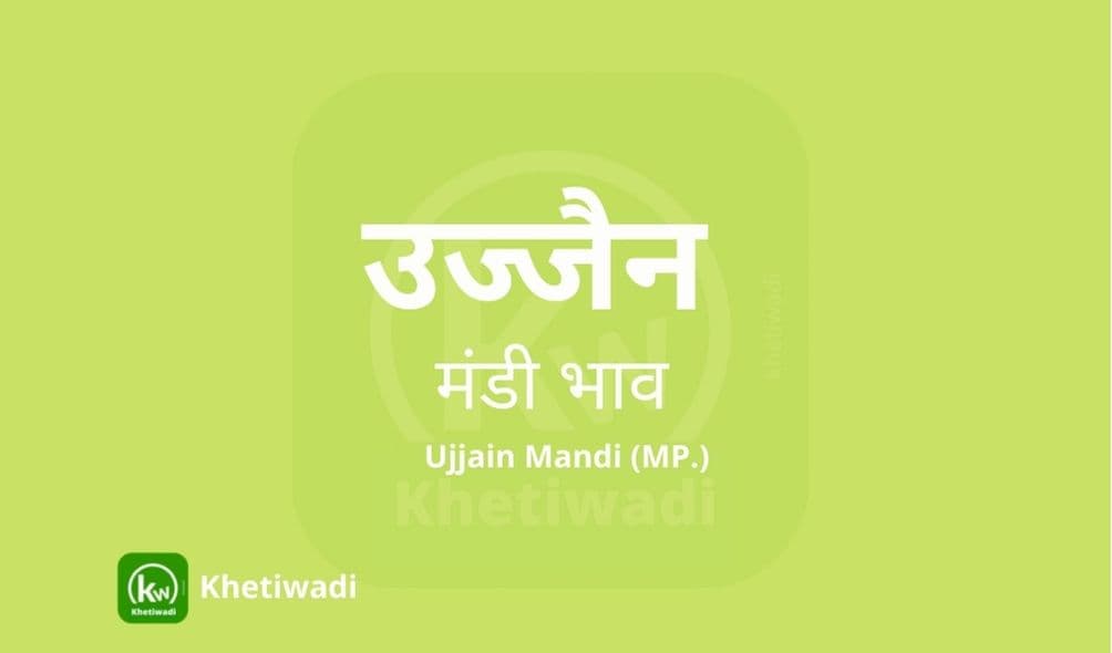 Ujjain Mandi - उज्जैन मंडी मंडी भाव 17-06-2023