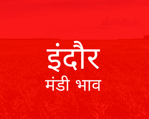 Indore Mandi - इंदौर मंडी मंडी भाव 31-08-2023