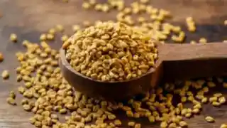 Fenugreek image