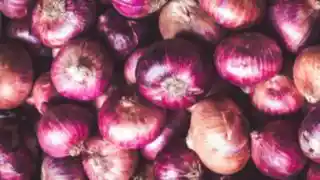 Onion image