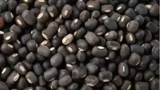 Urad image