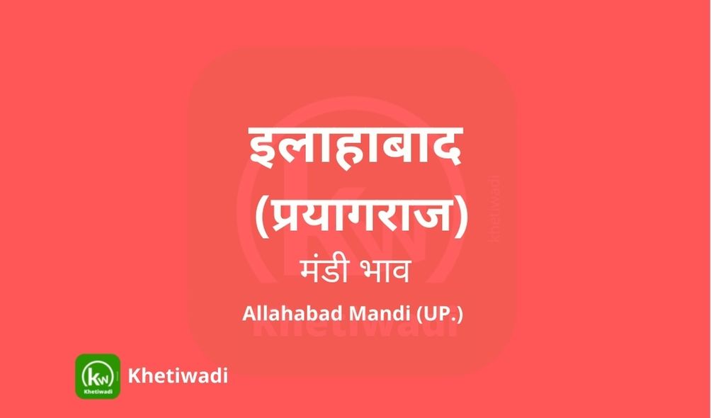 प्रयागराज मंडी 