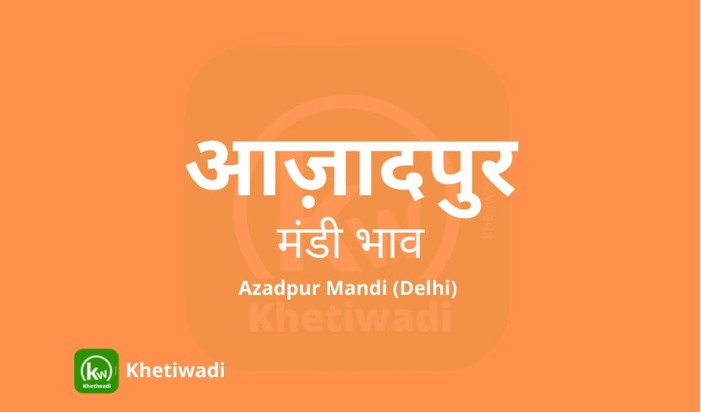 आज़ादपुर  मंडी
