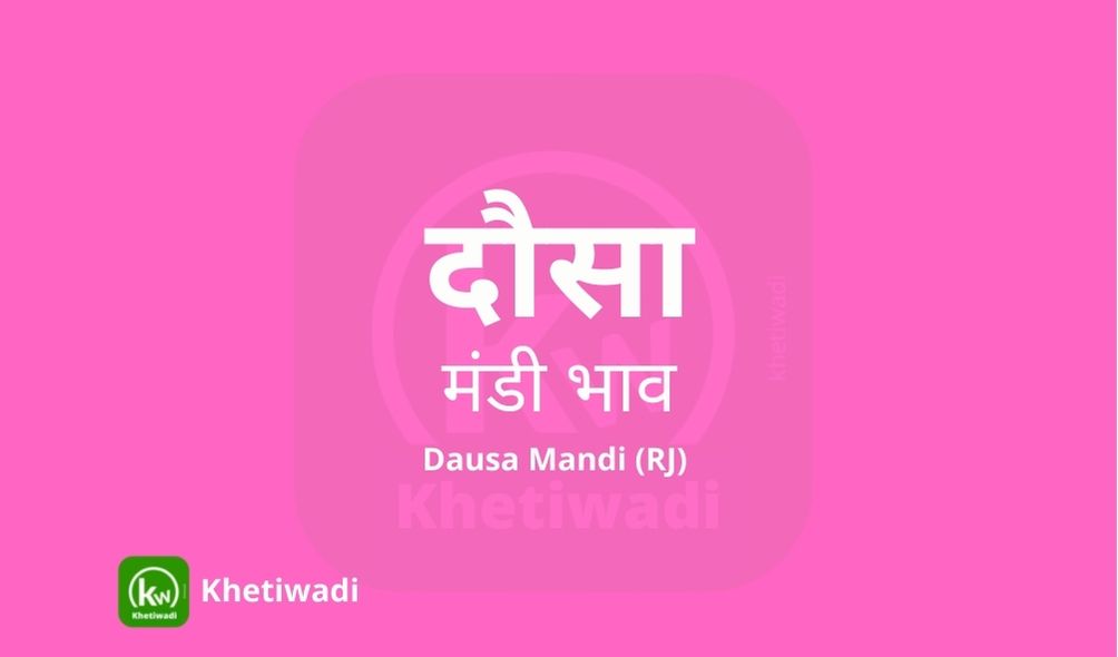 dausa-mandi-bhav