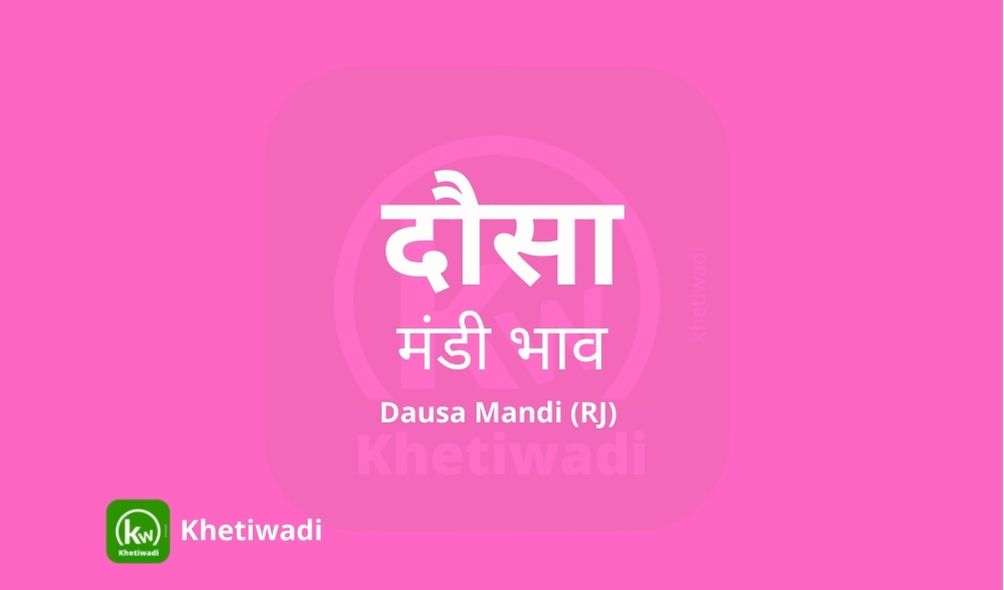 Dausa Mandi mandi post image image of Dausa Mandi with grains