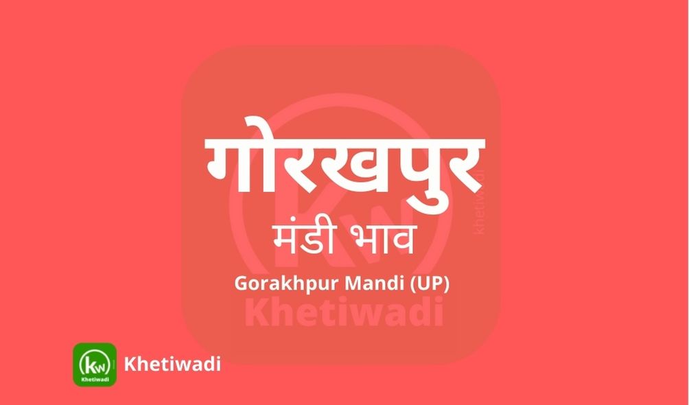 गोरखपुर