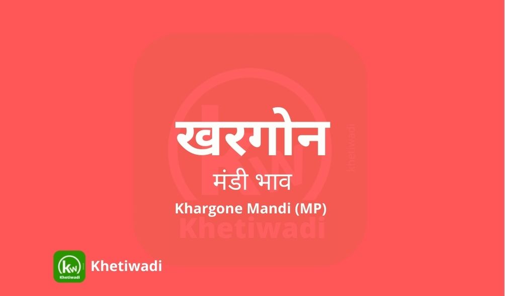Khargone Mandi mandi post image image of Khargone Mandi with grains