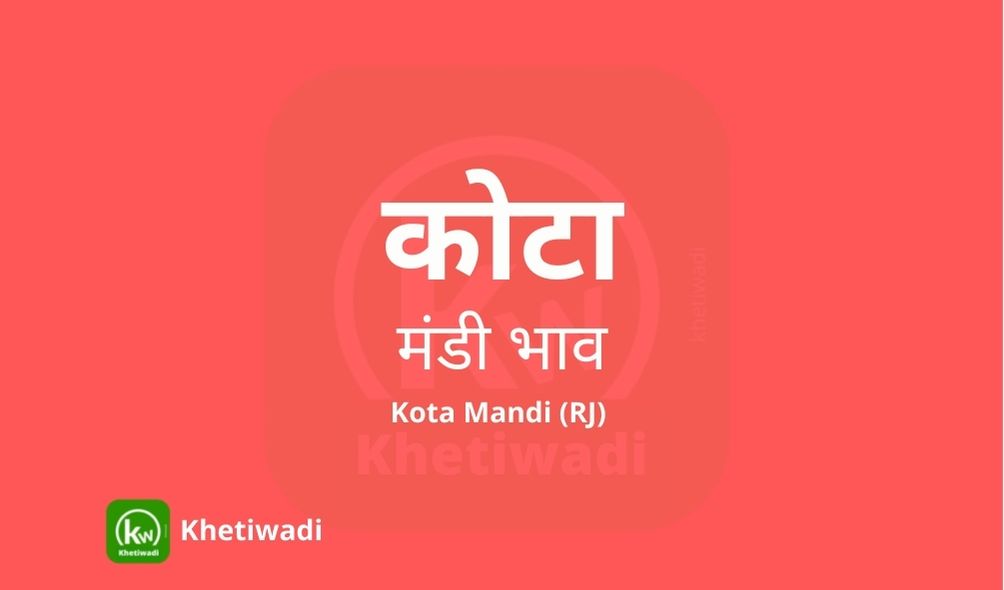Kota Mandi mandi post image image of Kota Mandi with grains