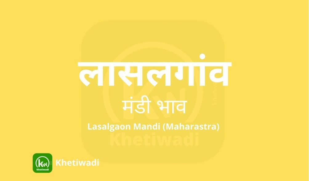 image of Lasalgaon Mandi with grains