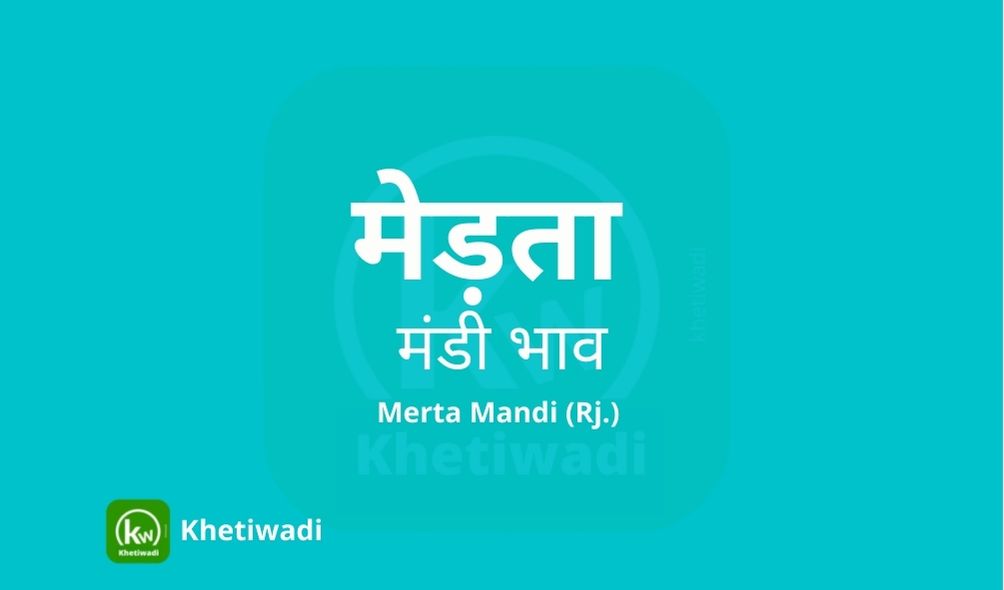 Merta Mandi mandi post image image of Merta Mandi with grains