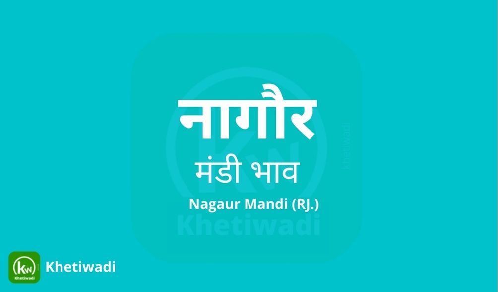 नागौर