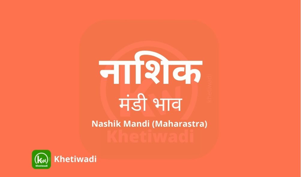नाशिक  मंडी 