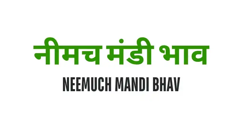 Neemuch Mandi mandi post image image of Neemuch Mandi with grains