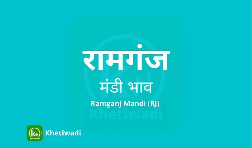 Ramganj Mandi mandi post image image of Ramganj Mandi with grains