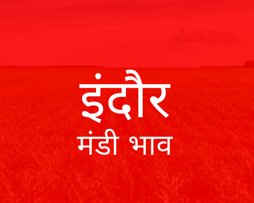 Indore Mandi mandi post image image of Indore Mandi with grains