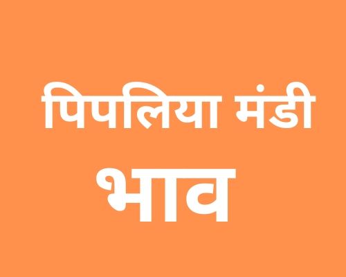 Pipliya Mandi mandi post image image of Pipliya Mandi with grains
