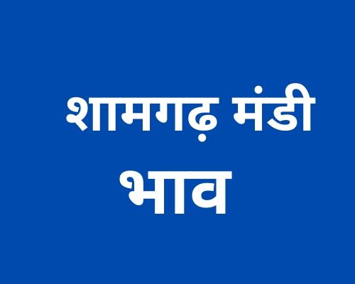 शामगढ़ मंडी 