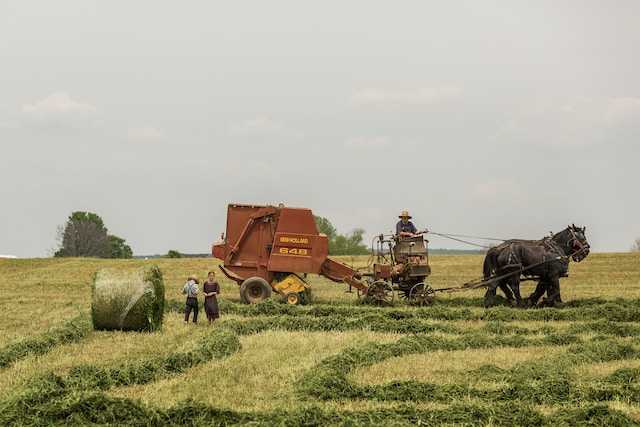 /media/tips/images/modern-farming.jpg