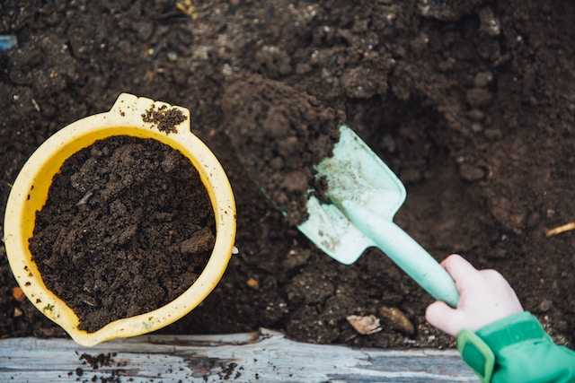 /media/tips/images/vermicompost.jpg